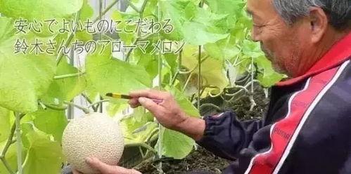 娱乐吃瓜界,揭秘明星幕后故事与八卦传闻